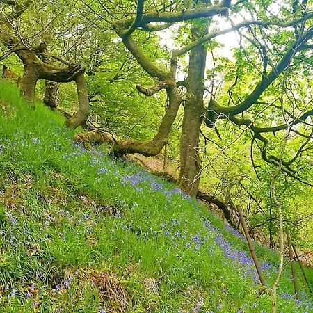 Bijou Cottage In Bronte Country With Wood-Burning Stove & Hot Tub Spa 哈沃斯 外观 照片