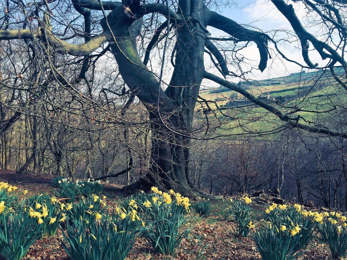 Bijou Cottage In Bronte Country With Wood-Burning Stove & Hot Tub Spa 哈沃斯 外观 照片