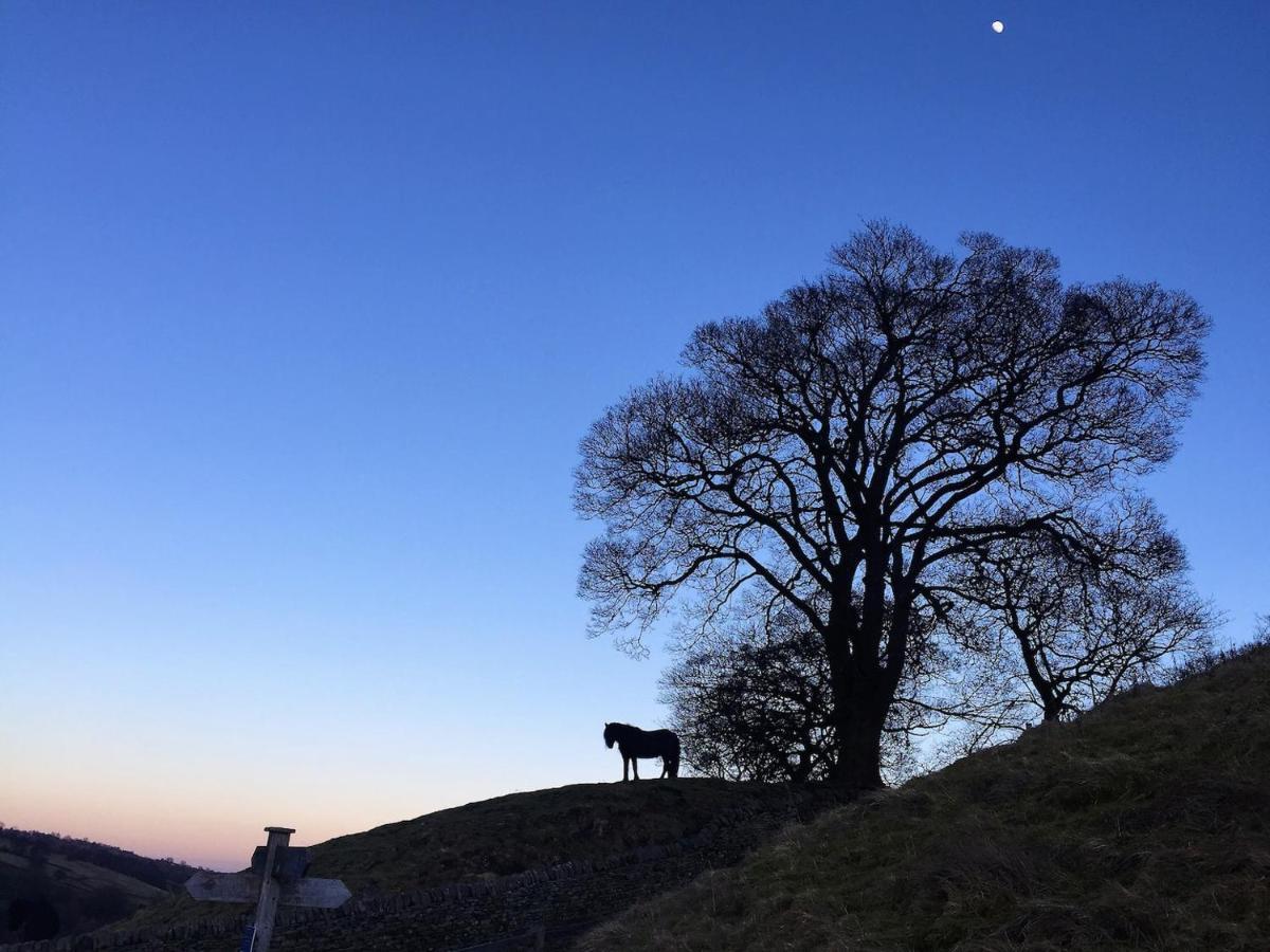 Bijou Cottage In Bronte Country With Wood-Burning Stove & Hot Tub Spa 哈沃斯 外观 照片